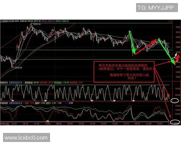 广州羽毛球队与西安羽毛球队赛后复盘分析比赛节奏与战术对比